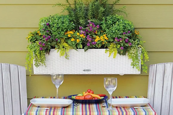 Blumenkasten mit Kräutern und Blumen